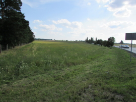 Działka rolno-inwestycyjna w Nowogrodzie Bobrzańskim